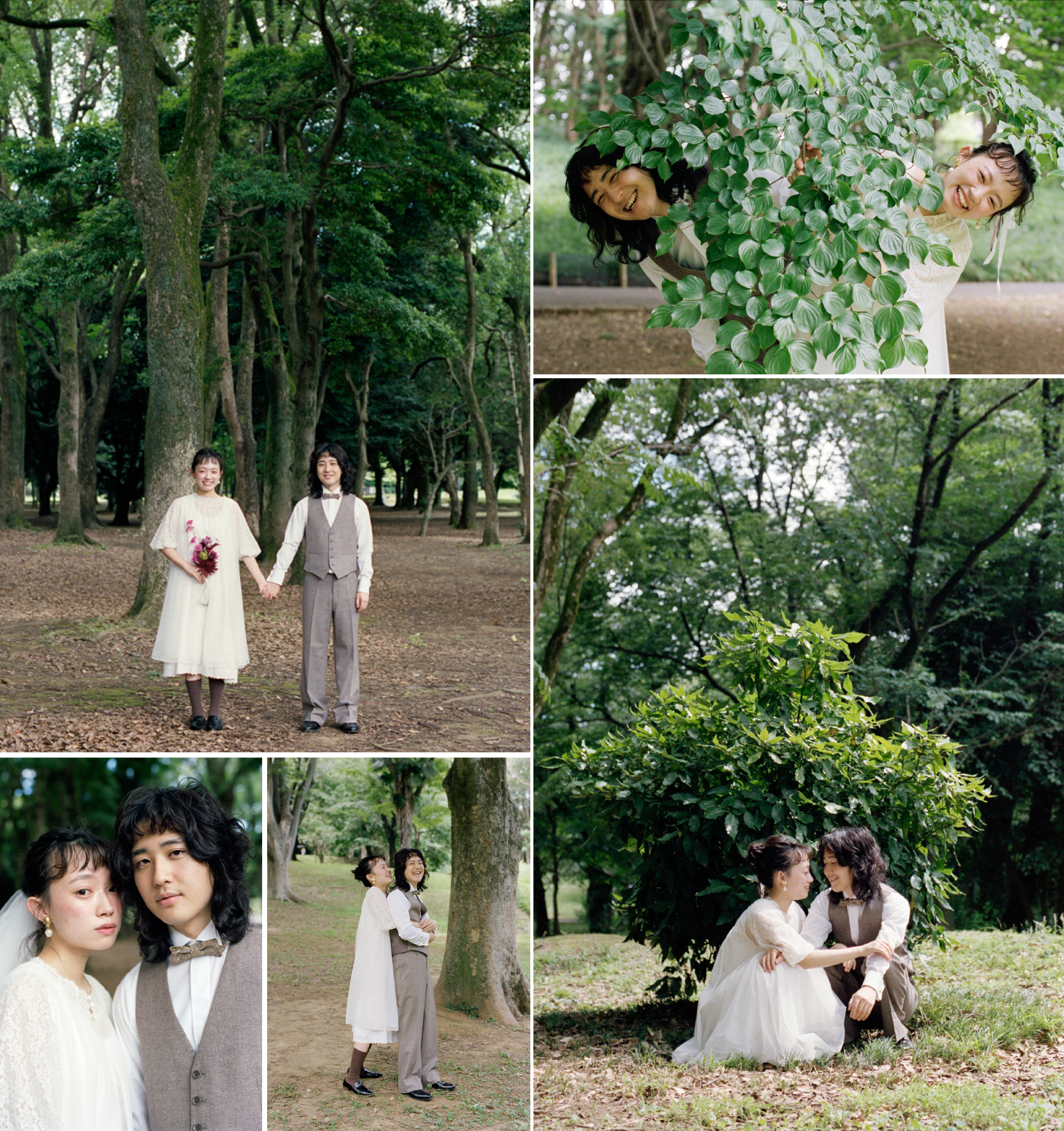 自然を背景にした撮影イメージA